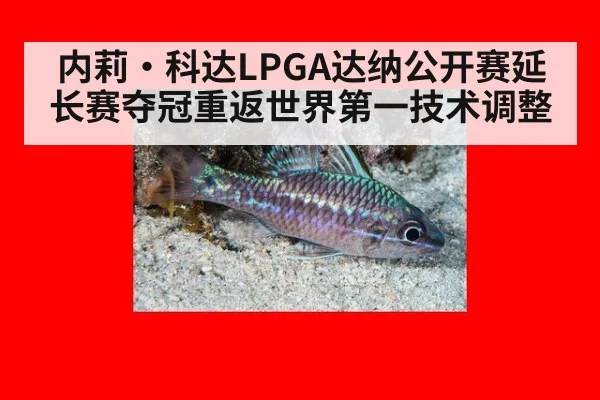 内莉·科达LPGA达纳公开赛延长赛夺冠重返世界第一技术调整